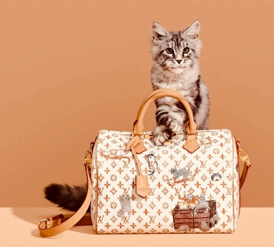Cats Inspiration: Louis Vuitton X Grace Coddington | Anouska Cullen
